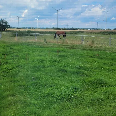 Luxuszelt Schlaffass Grevenkop
