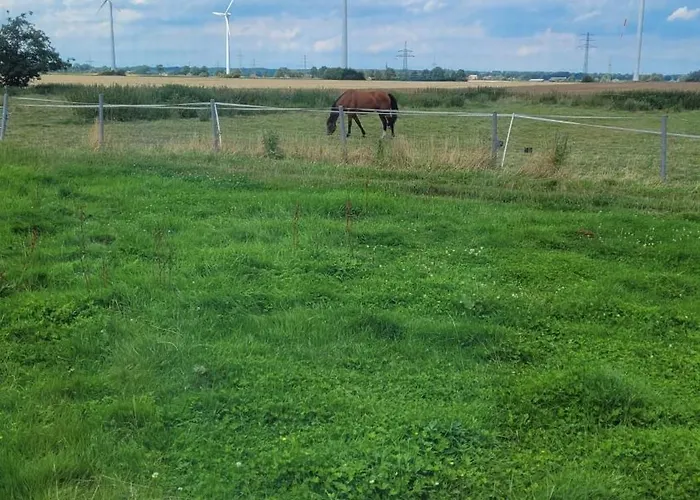 Luxe tent Schlaffass Grevenkop